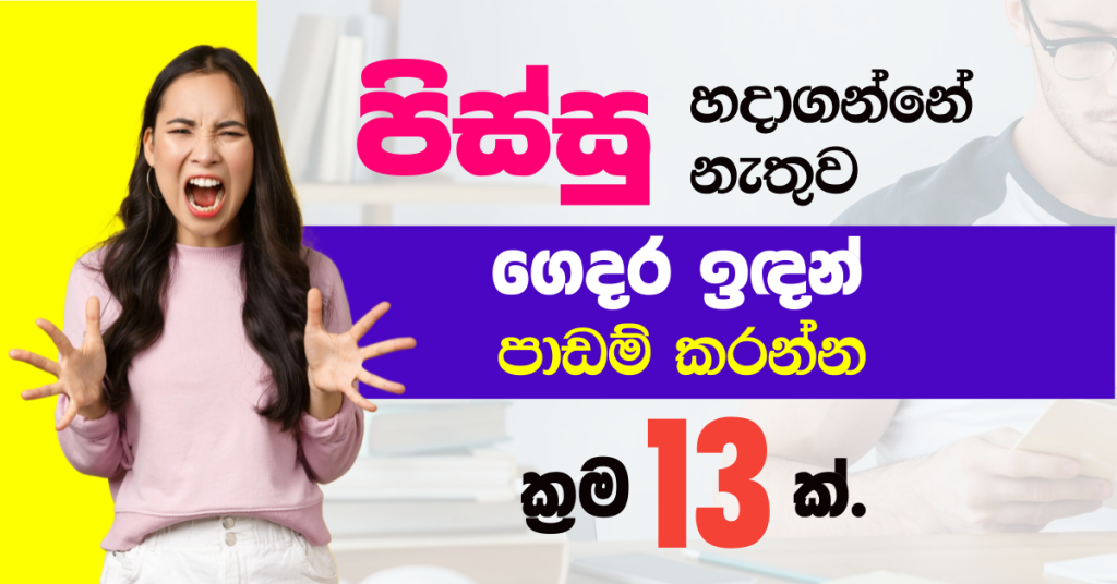 පිස්සු හදාගන්නේ නැතුව ගෙදර ඉඳන් පාඩම් කරන්න ක්‍රම 13 ක්.