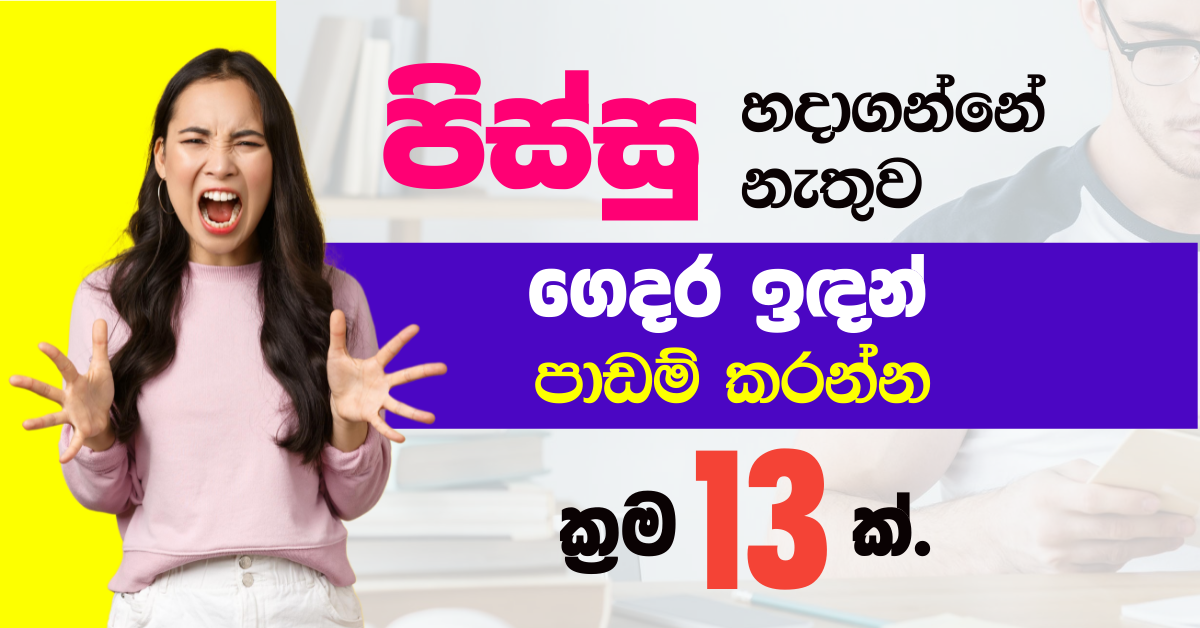 පිස්සු හදාගන්නේ නැතුව ගෙදර ඉඳන් පාඩම් කරන්න ක්රම 13 ක්.